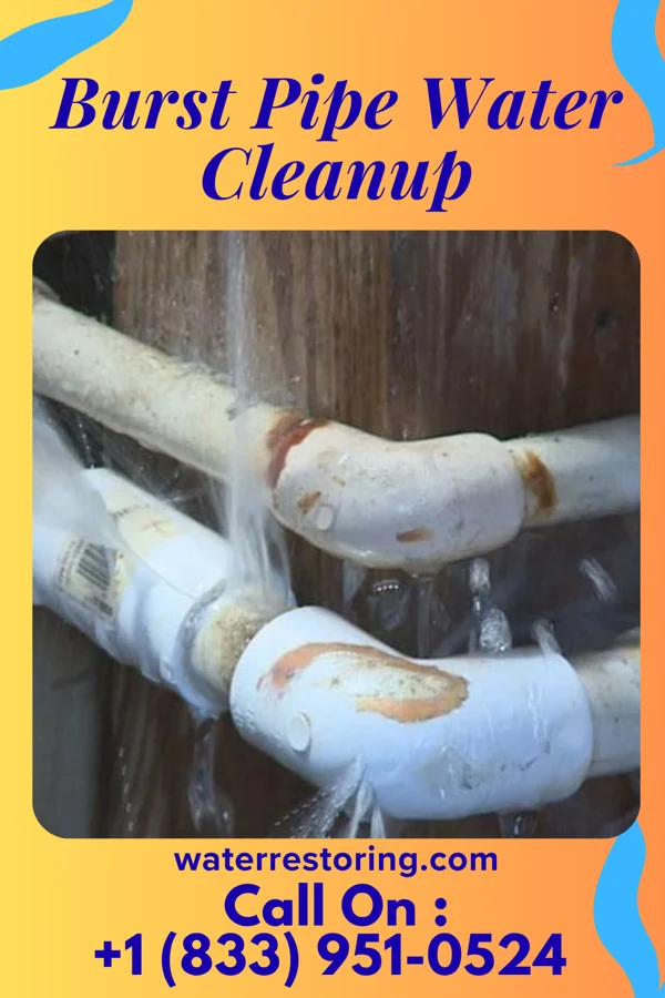 Burst Pipe Water Cleanup in Kinde, MI