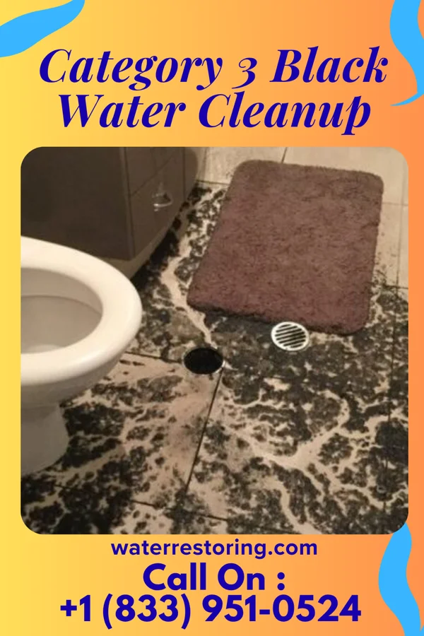 Category 3 Black Water Cleanup in Kinde, MI