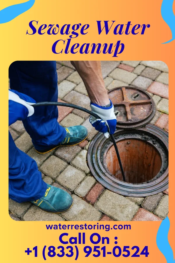 Sewage Water Cleanup in Kinde, MI